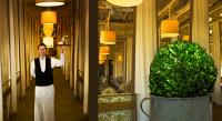 Waiter William Southerland in the Print Work Bistro at the Proximity Hotel eco-green hotel utilizing state of the art energy saving devices to reduce lighting energy usage.   - ©2025 Salem Krieger All Rights Reserved NYC Photographer